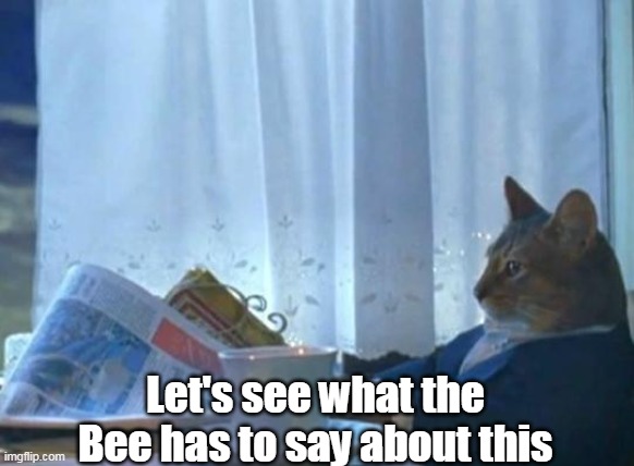 Let's see what the Bee has to say about this | made w/ Imgflip meme maker