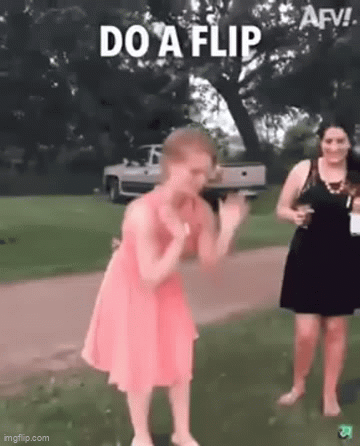 DO A FLIP - Imgflip