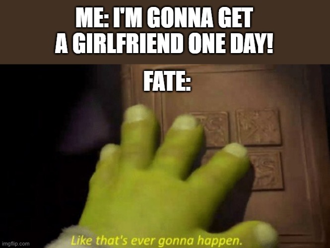 nooooooo | ME: I'M GONNA GET A GIRLFRIEND ONE DAY! FATE: | image tagged in like that's ever gonna happen,memes,funny | made w/ Imgflip meme maker