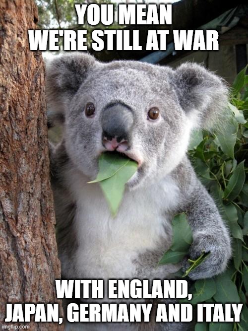 Surprised Koala Meme | YOU MEAN WE'RE STILL AT WAR WITH ENGLAND, JAPAN, GERMANY AND ITALY | image tagged in memes,surprised koala | made w/ Imgflip meme maker