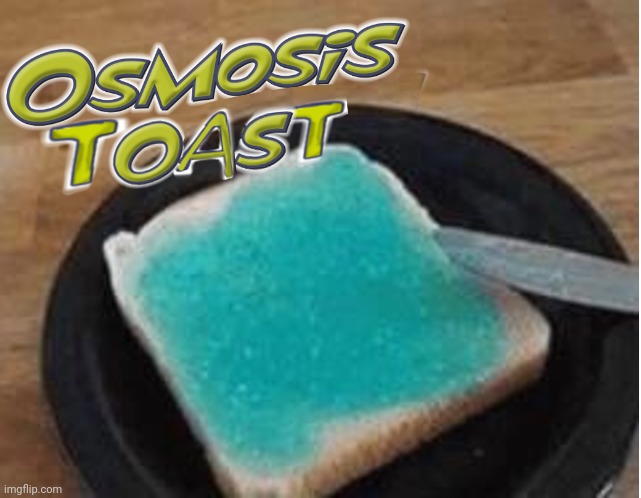 Osmosis toast | image tagged in osmosis toast | made w/ Imgflip meme maker