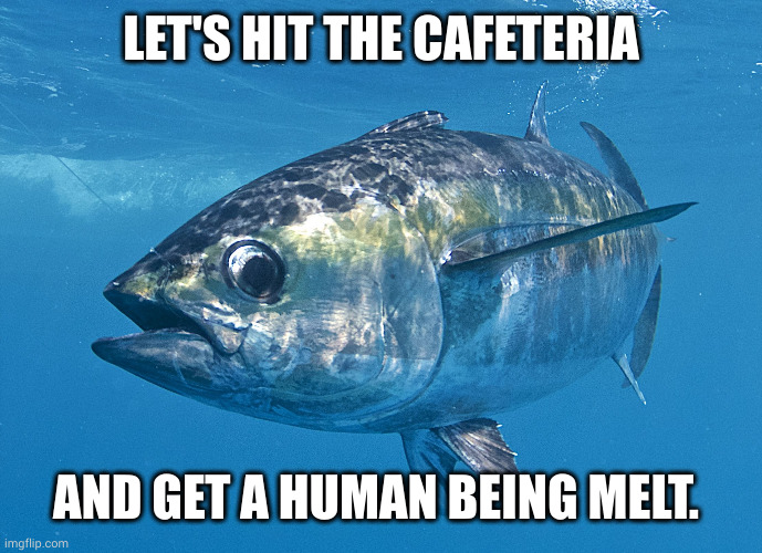 Time for a human being melt sandwich | LET'S HIT THE CAFETERIA; AND GET A HUMAN BEING MELT. | image tagged in tuna fish,cafeteria,human being melt,tuna melt,cheese,memes | made w/ Imgflip meme maker