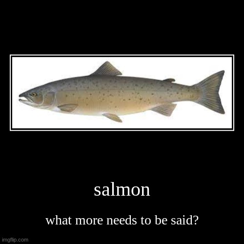 salmon | what more needs to be said? | image tagged in funny,demotivationals | made w/ Imgflip demotivational maker
