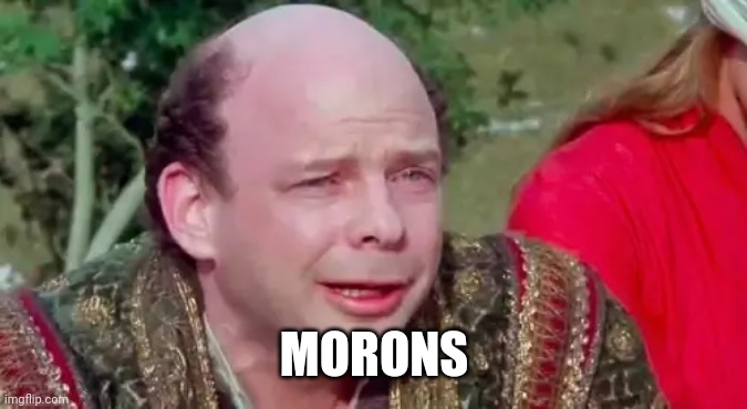 Morons | MORONS | image tagged in princess bride,princess bride vizzini,morons | made w/ Imgflip meme maker