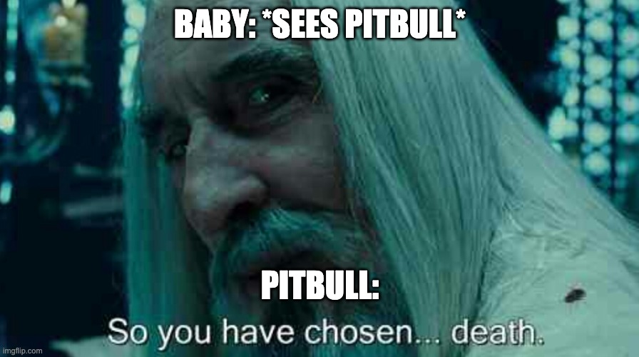 Bitey, bitey | BABY: *SEES PITBULL*; PITBULL: | image tagged in so you have chosen death | made w/ Imgflip meme maker