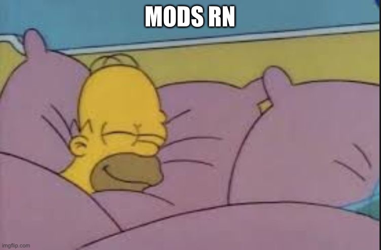how i sleep homer simpson | MODS RN | image tagged in how i sleep homer simpson | made w/ Imgflip meme maker