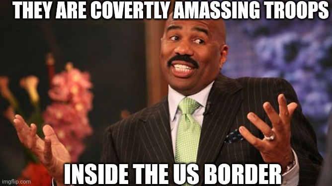 Steve Harvey Meme | THEY ARE COVERTLY AMASSING TROOPS INSIDE THE US BORDER | image tagged in memes,steve harvey | made w/ Imgflip meme maker