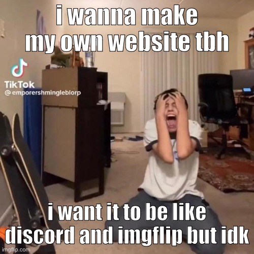 me rn | i wanna make my own website tbh; i want it to be like discord and imgflip but idk | image tagged in me rn | made w/ Imgflip meme maker