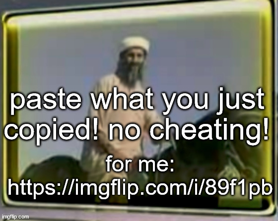 https://imgflip.com/i/89f1pb | paste what you just copied! no cheating! for me: https://imgflip.com/i/89f1pb | image tagged in osama on horse | made w/ Imgflip meme maker