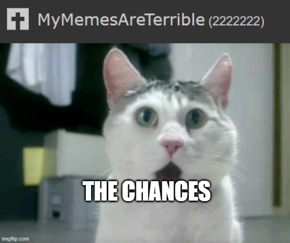 2222222222222222 | THE CHANCES | image tagged in memes,omg cat,omg | made w/ Imgflip meme maker