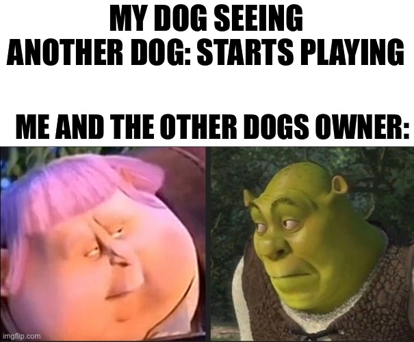 *awkward silence instensifies* | MY DOG SEEING ANOTHER DOG: STARTS PLAYING; ME AND THE OTHER DOGS OWNER: | image tagged in memes,funny,dog | made w/ Imgflip meme maker