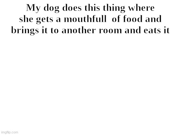 Blank White Template | My dog does this thing where she gets a mouthfull  of food and brings it to another room and eats it | image tagged in blank white template | made w/ Imgflip meme maker