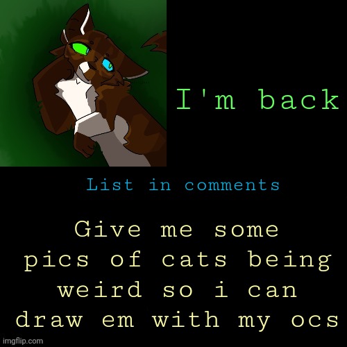 Had to take a small mental break, but i am back :D | I'm back; Give me some pics of cats being weird so i can draw em with my ocs; List in comments | image tagged in wispy temp | made w/ Imgflip meme maker