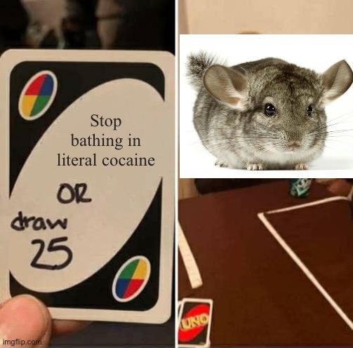 Lol their sand looks like certain drug | Stop bathing in literal cocaine | image tagged in memes,uno draw 25 cards | made w/ Imgflip meme maker