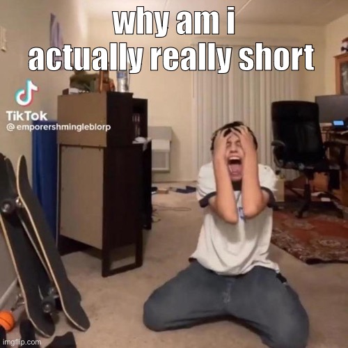i’ve always been told that i was tall i’m literally 5’2 | why am i actually really short | image tagged in me rn | made w/ Imgflip meme maker