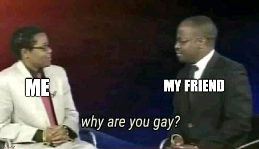 Why are you gay? | ME; MY FRIEND | image tagged in why are you gay | made w/ Imgflip meme maker