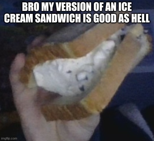 escalator_mayonnaise's ice cream sandwich | BRO MY VERSION OF AN ICE CREAM SANDWICH IS GOOD AS HELL | image tagged in escalator_mayonnaise's ice cream sandwich | made w/ Imgflip meme maker