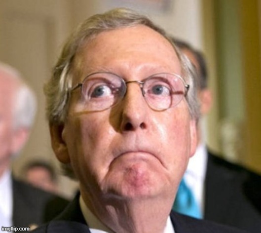 Sad Turtle Face | image tagged in sad turtle face | made w/ Imgflip meme maker