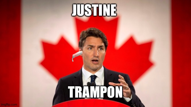 Mr. Toxic Shock Syndrome himself | JUSTINE; TRAMPON | image tagged in justin trudeau | made w/ Imgflip meme maker