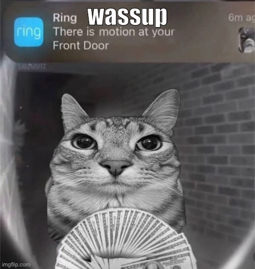 motion | wassup | image tagged in motion | made w/ Imgflip meme maker