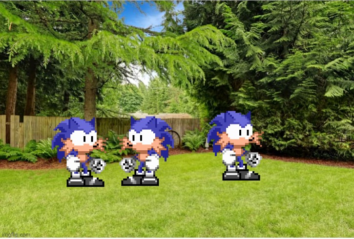 Sunny Backyard | image tagged in sunny backyard | made w/ Imgflip meme maker