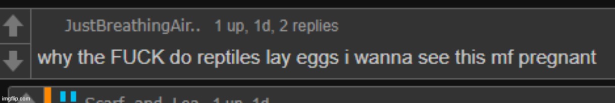not me screenshotting my own comment because i lust for attention | made w/ Imgflip meme maker