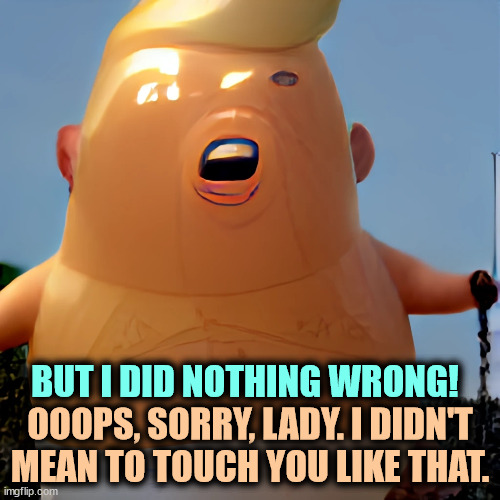 Like hell he didn't. | BUT I DID NOTHING WRONG! OOOPS, SORRY, LADY. I DIDN'T MEAN TO TOUCH YOU LIKE THAT. | image tagged in trump,child,baby,infant,balloon,blimp | made w/ Imgflip meme maker