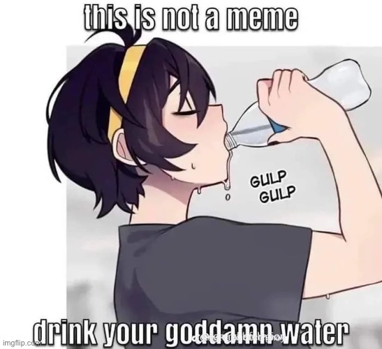 Well? Go on. Leave the computer screen and drink some FUCKIN’ WATER | image tagged in reddit,found this in traaaaaaaaansbians,trans meme,any transphobes in the comments will have their lungs stolen,im lesbian | made w/ Imgflip meme maker
