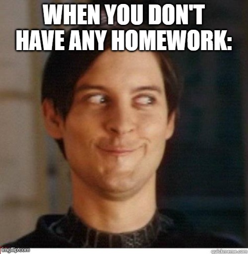 WHEN YOU DON'T HAVE ANY HOMEWORK: | image tagged in toby maguire | made w/ Imgflip meme maker