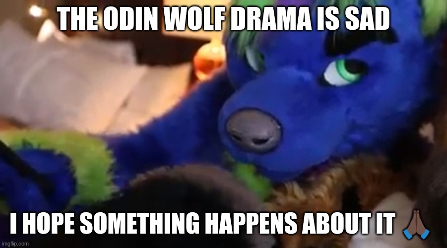 Odin Wolf Wut | THE ODIN WOLF DRAMA IS SAD; I HOPE SOMETHING HAPPENS ABOUT IT 🙏🏿 | image tagged in odin wolf wut | made w/ Imgflip meme maker