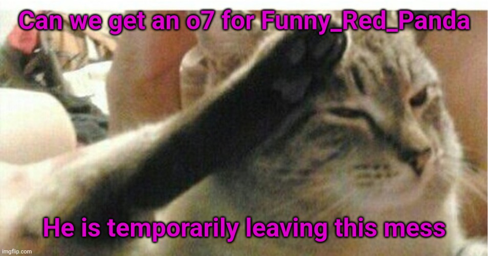 i will get the ownership of the stream for now | Can we get an o7 for Funny_Red_Panda; He is temporarily leaving this mess | image tagged in cat of honor | made w/ Imgflip meme maker