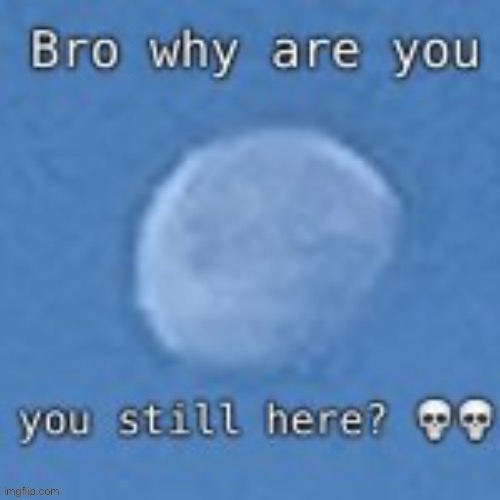 Bro why are you still here? | image tagged in bro why are you still here | made w/ Imgflip meme maker