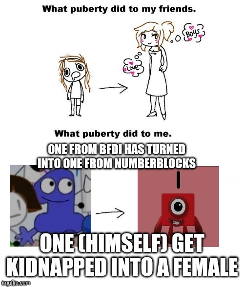 One's evolution | ONE FROM BFDI HAS TURNED INTO ONE FROM NUMBERBLOCKS; ONE (HIMSELF) GET KIDNAPPED INTO A FEMALE | image tagged in what puberty did to me | made w/ Imgflip meme maker