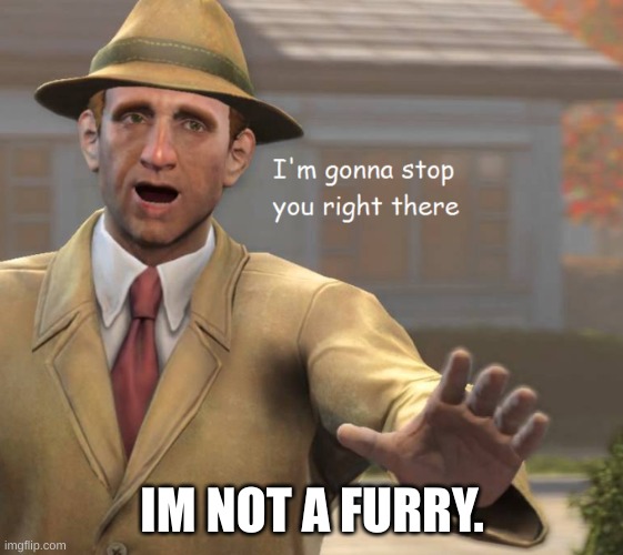 im gonna stop you right there | IM NOT A FURRY. | image tagged in im gonna stop you right there | made w/ Imgflip meme maker