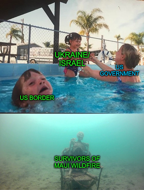 Did They Forget about Maui? | UKRAINE/ ISRAEL; US GOVERNMENT; US BORDER; SURVIVORS OF MAUI WILDFIRE | image tagged in mother ignoring kid drowning in a pool | made w/ Imgflip meme maker