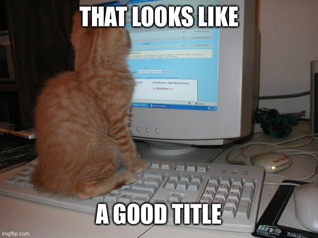 cat sitting on keyboard | THAT LOOKS LIKE A GOOD TITLE | image tagged in cat sitting on keyboard | made w/ Imgflip meme maker