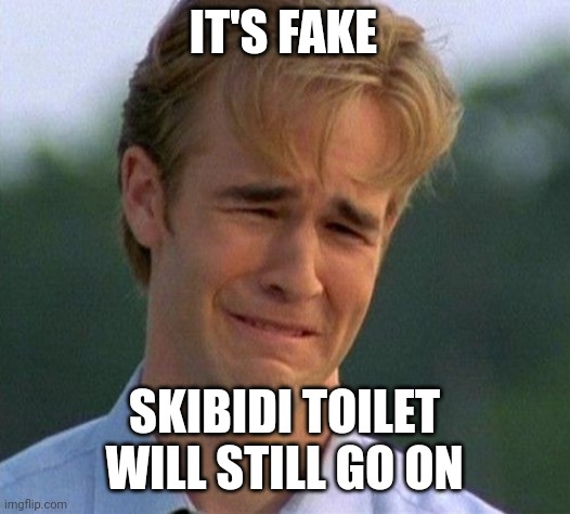 1990s First World Problems Meme | IT'S FAKE SKIBIDI TOILET WILL STILL GO ON | image tagged in memes,1990s first world problems | made w/ Imgflip meme maker