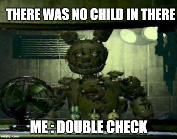 FNAF Springtrap in window | THERE WAS NO CHILD IN THERE; ME : DOUBLE CHECK | image tagged in fnaf springtrap in window | made w/ Imgflip meme maker