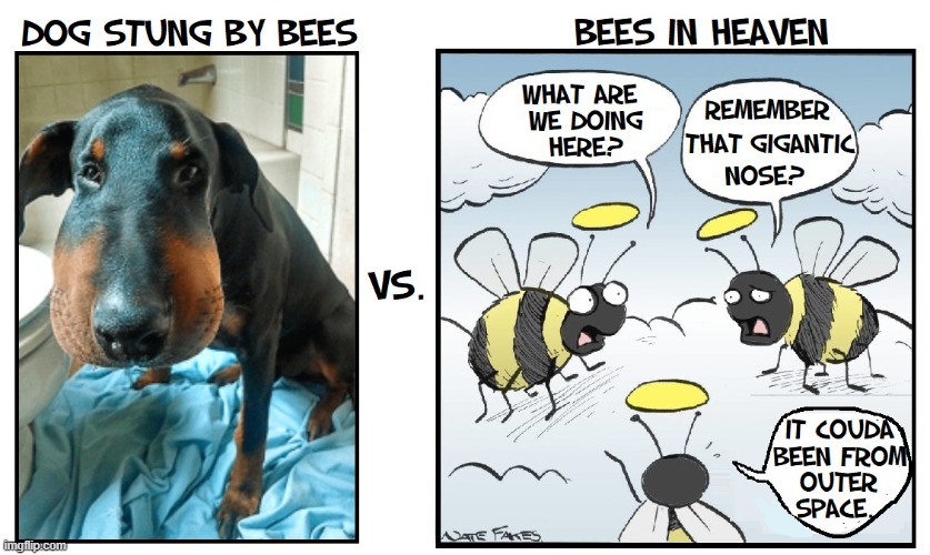 The Alpha and the Omega | image tagged in vince vance,dogs,bees,bee sting,memes,cartoons | made w/ Imgflip meme maker
