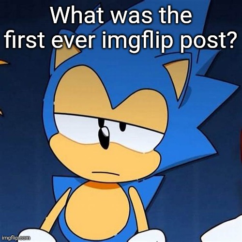 bruh | What was the first ever imgflip post? | image tagged in bruh | made w/ Imgflip meme maker