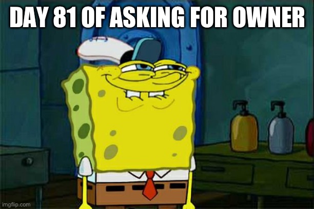 Don't You Squidward | DAY 81 OF ASKING FOR OWNER | image tagged in memes,don't you squidward | made w/ Imgflip meme maker