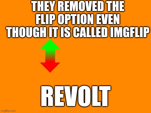 Unacceptable to first change the homepage like that and then this. | THEY REMOVED THE FLIP OPTION EVEN THOUGH IT IS CALLED IMGFLIP; REVOLT | image tagged in blank | made w/ Imgflip meme maker