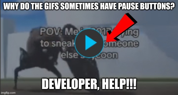 Developer, help me!! | image tagged in imgflip | made w/ Imgflip meme maker