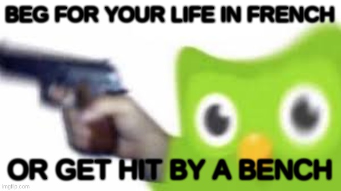 Duolingo gun | BEG FOR YOUR LIFE IN FRENCH OR GET HIT BY A BENCH | image tagged in duolingo gun | made w/ Imgflip meme maker