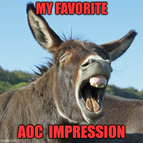 My AOC | MY FAVORITE; AOC  IMPRESSION | image tagged in politics,democrats | made w/ Imgflip meme maker