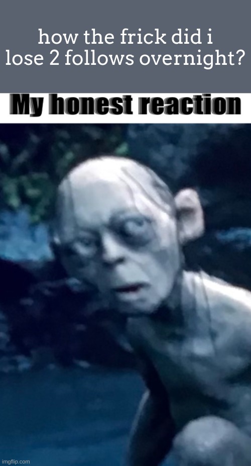 My honest reaction gollum | how the frick did i lose 2 follows overnight? | image tagged in my honest reaction gollum | made w/ Imgflip meme maker