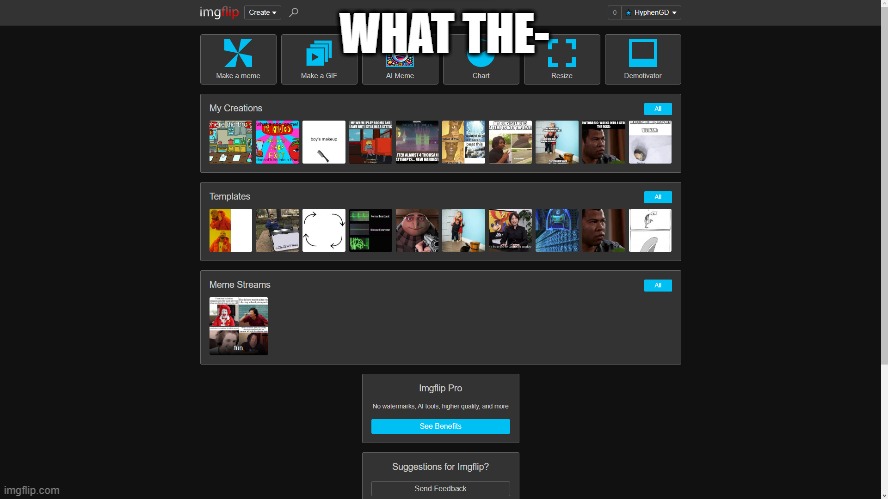 new ui i guess? | WHAT THE- | image tagged in imgflip,memes,not sure | made w/ Imgflip meme maker