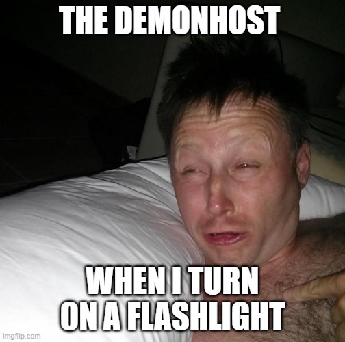 let the demonhost sleep | THE DEMONHOST; WHEN I TURN ON A FLASHLIGHT | image tagged in limmy waking up | made w/ Imgflip meme maker