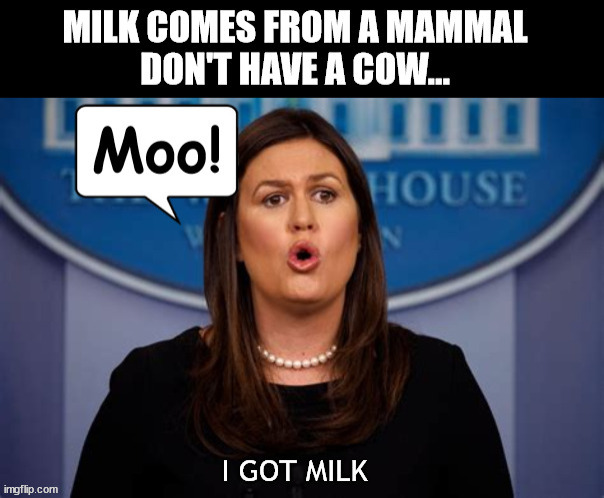 Milk comes from mammal | image tagged in moo juice,sarah huckabee sanders,got milk,moo,gop clownshow | made w/ Imgflip meme maker