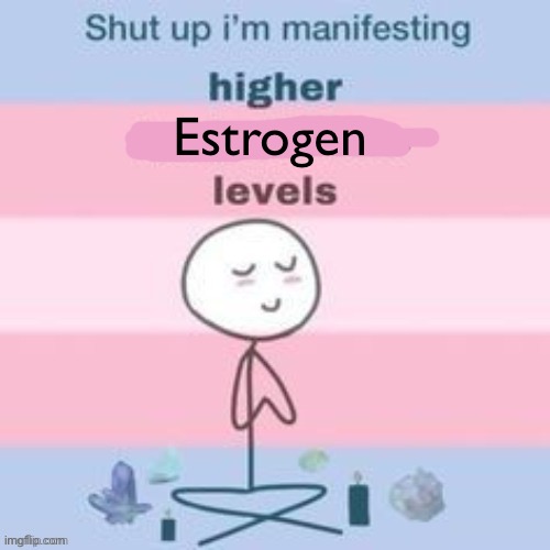 Hehehehehheeh trans mtf enby go brrrrr | Estrogen | image tagged in hehehehehehehhe | made w/ Imgflip meme maker